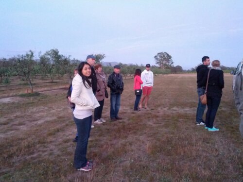 IMG_20121029_054455.jpg image