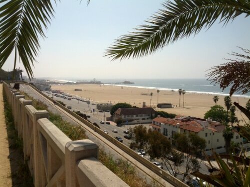 IMG_20130323_115159.jpg image