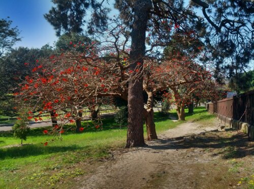 hdr_00013_0.jpg image