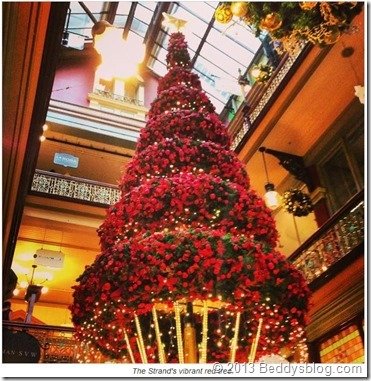 the strands vibrant red tree